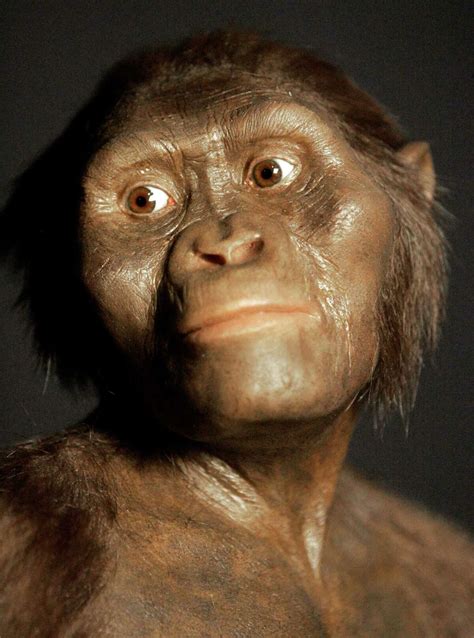 lucy 3.2 million years ago.